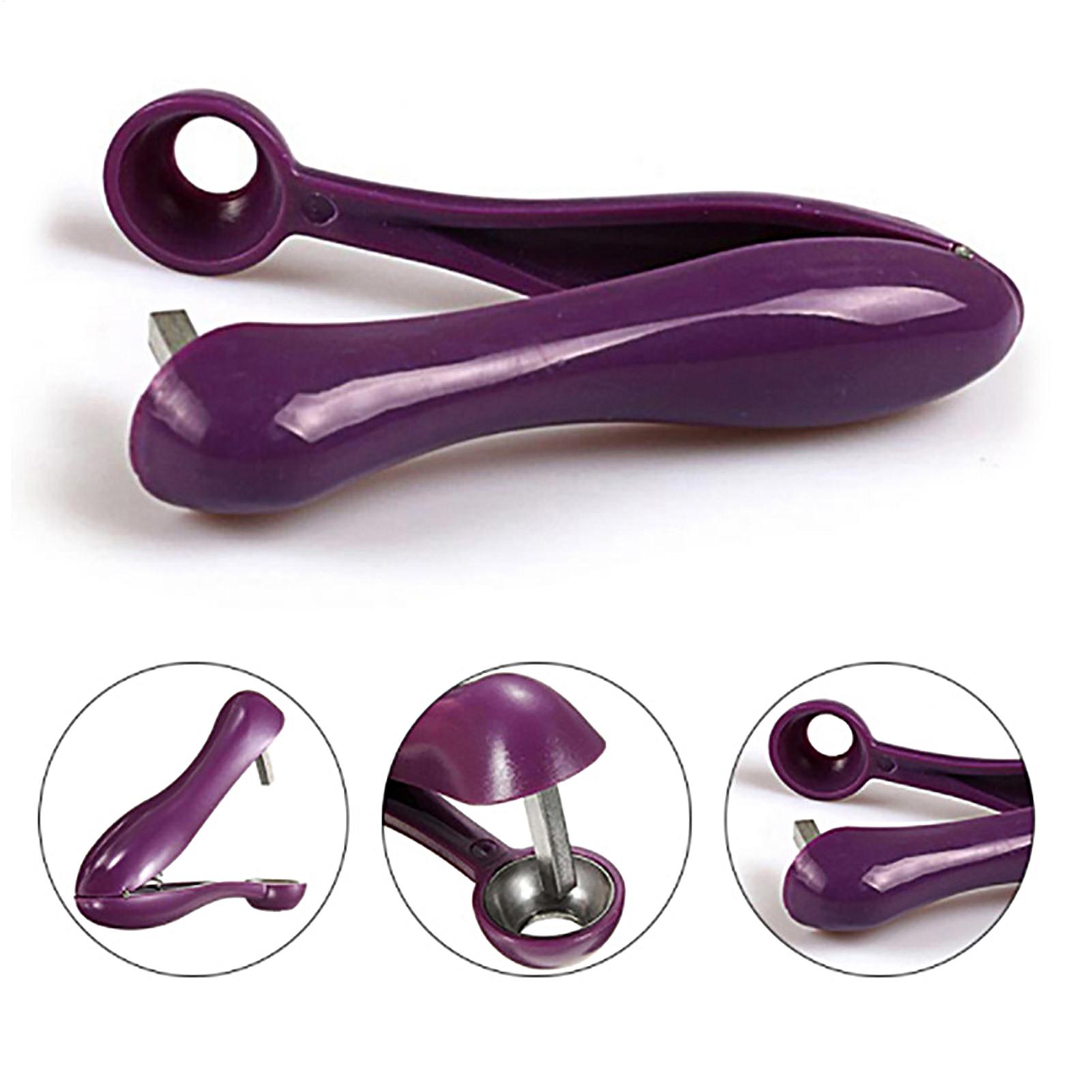 Portable Cherry Fruit Kitchen  - đánh giá và giá Cherry Pitter Tool