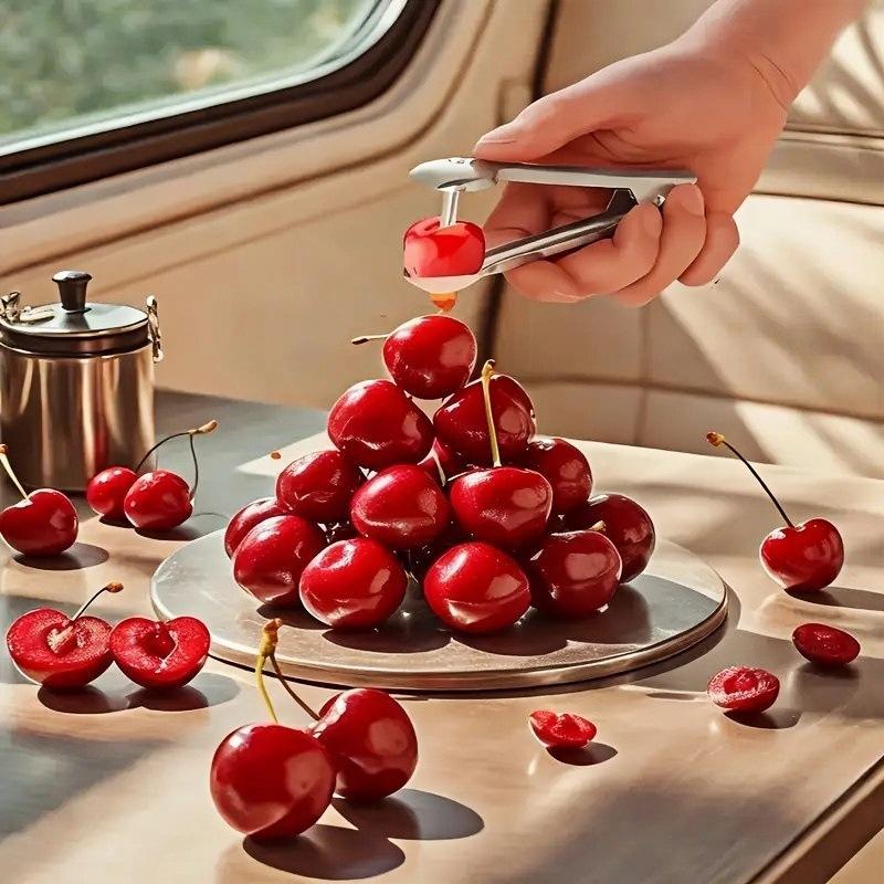 /KQM/Stainless Steel Cherry Fr - đánh giá và giá Cherry Pitter Tool
