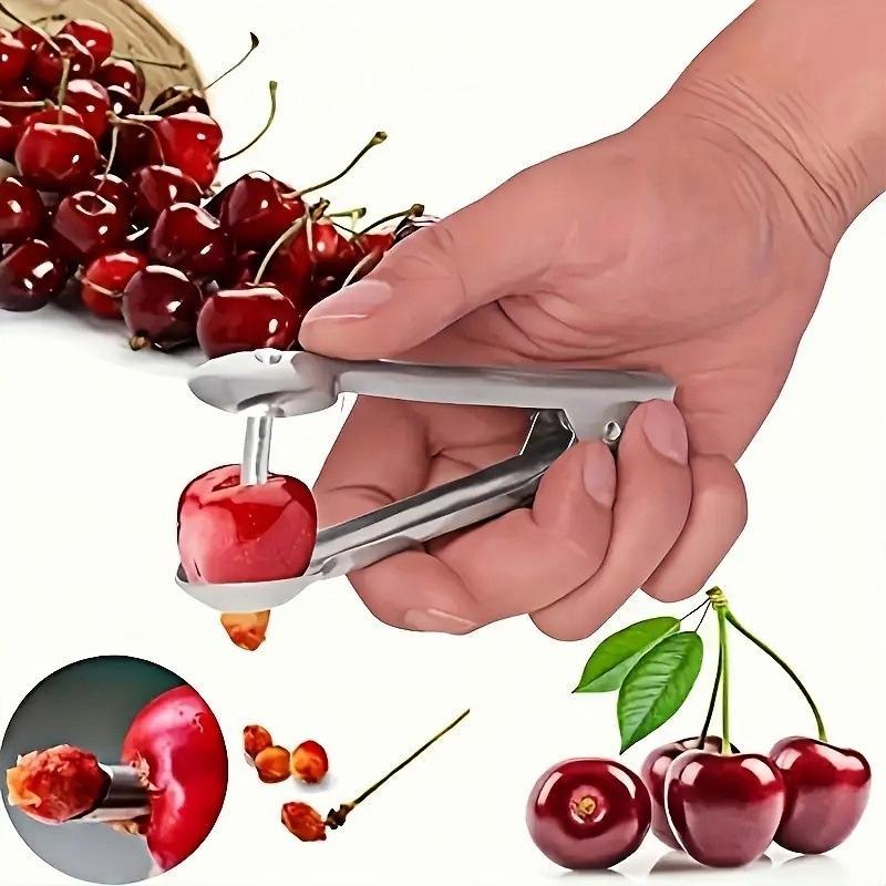 /KQM/Stainless Steel Cherry Fr - đánh giá và giá Cherry Pitter Tool