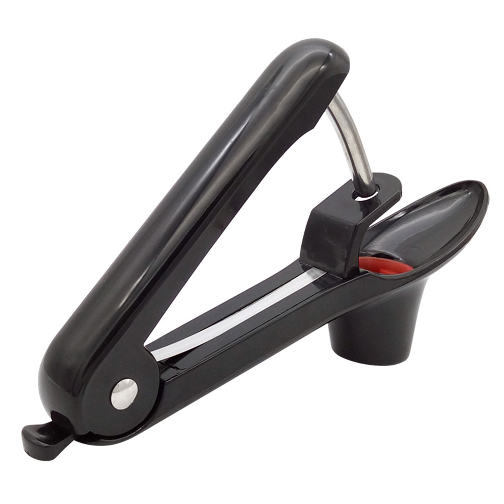 Stainless Steel ABS Cherry Oli - đánh giá và giá Cherry Pitter Tool