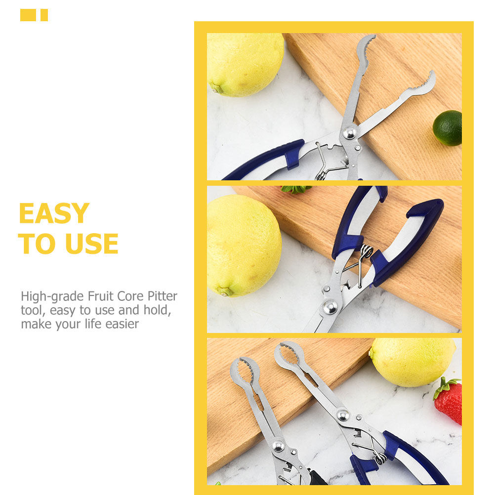 Stainless Steel Hawthorn Pitte - đánh giá và giá Cherry Pitter Tool